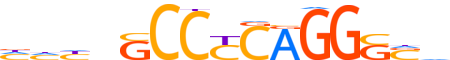 AP2C.H13RSNP.0.PSM.A reverse-complement motif logo (TFAP2C gene, AP2C_HUMAN protein)