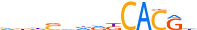 ARNT2.H13RSNP.0.P.D reverse-complement motif logo (ARNT2 gene, ARNT2_HUMAN protein)