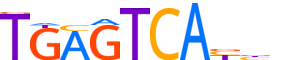 ATF3.H13RSNP.0.P.B reverse-complement motif logo (ATF3 gene, ATF3_HUMAN protein)