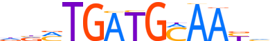 ATF4.H13RSNP.0.P.B motif logo (ATF4 gene, ATF4_HUMAN protein)