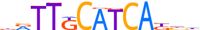 ATF4.H13RSNP.0.P.B reverse-complement motif logo (ATF4 gene, ATF4_HUMAN protein)