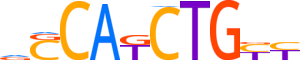 ATOH1.H13RSNP.0.P.B reverse-complement motif logo (ATOH1 gene, ATOH1_HUMAN protein)