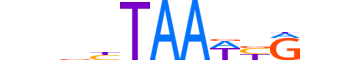 BARH1.H13RSNP.0.SM.D motif logo (BARHL1 gene, BARH1_HUMAN protein)