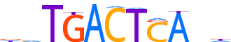 BATF.H13RSNP.1.P.D motif logo (BATF gene, BATF_HUMAN protein)