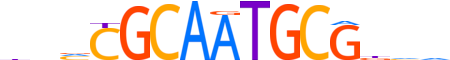 CAMTA2.H13RSNP.0.PSGI.D motif logo (CAMTA2 gene, CMTA2_HUMAN protein)