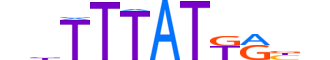 CDX1.H13RSNP.1.S.B motif logo (CDX1 gene, CDX1_HUMAN protein)