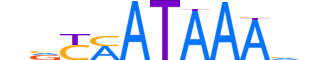 CDX1.H13RSNP.1.S.B reverse-complement motif logo (CDX1 gene, CDX1_HUMAN protein)