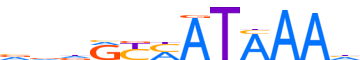 CDX2.H13RSNP.0.PS.A reverse-complement motif logo (CDX2 gene, CDX2_HUMAN protein)