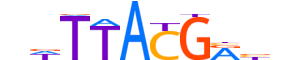 CDX2.H13RSNP.1.M.C motif logo (CDX2 gene, CDX2_HUMAN protein)