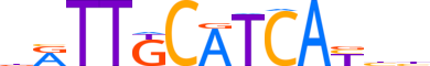 CEBPG.H13RSNP.2.P.B motif logo (CEBPG gene, CEBPG_HUMAN protein)