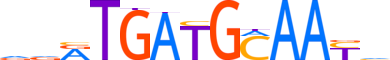 CEBPG.H13RSNP.2.P.B reverse-complement motif logo (CEBPG gene, CEBPG_HUMAN protein)