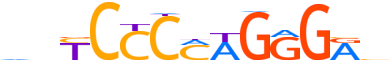 COE3.H13RSNP.0.P.D motif logo (EBF3 gene, COE3_HUMAN protein)