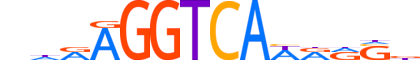 COT1.H13RSNP.0.PSM.A motif logo (NR2F1 gene, COT1_HUMAN protein)