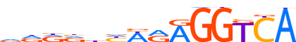 COT2.H13RSNP.0.P.D motif logo (NR2F2 gene, COT2_HUMAN protein)