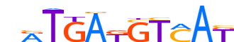 CREB5.H13RSNP.0.P.B motif logo (CREB5 gene, CREB5_HUMAN protein)