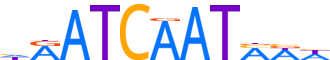 CUX1.H13RSNP.0.PM.A reverse-complement motif logo (CUX1 gene, CUX1_HUMAN protein)
