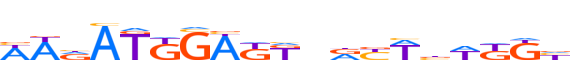 CUX1.H13RSNP.2.P.C motif logo (CUX1 gene, CUX1_HUMAN protein)