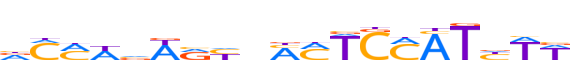 CUX1.H13RSNP.2.P.C reverse-complement motif logo (CUX1 gene, CUX1_HUMAN protein)