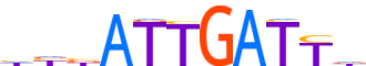 CUX2.H13RSNP.0.P.C motif logo (CUX2 gene, CUX2_HUMAN protein)