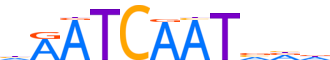 CUX2.H13RSNP.0.P.C reverse-complement motif logo (CUX2 gene, CUX2_HUMAN protein)