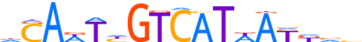 DACH1.H13RSNP.0.S.D motif logo (DACH1 gene, DACH1_HUMAN protein)