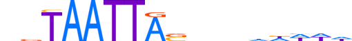 DLX1.H13RSNP.0.S.B motif logo (DLX1 gene, DLX1_HUMAN protein)