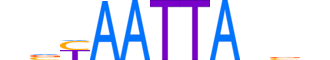 DLX1.H13RSNP.1.PSM.A reverse-complement motif logo (DLX1 gene, DLX1_HUMAN protein)