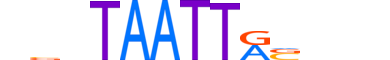 DLX4.H13RSNP.0.SM.B motif logo (DLX4 gene, DLX4_HUMAN protein)