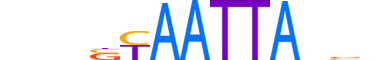 DLX4.H13RSNP.0.SM.B reverse-complement motif logo (DLX4 gene, DLX4_HUMAN protein)