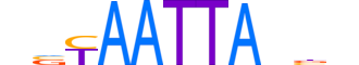 DLX6.H13RSNP.0.SM.B reverse-complement motif logo (DLX6 gene, DLX6_HUMAN protein)