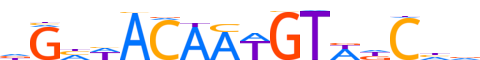 DMRTB.H13RSNP.0.P.D motif logo (DMRTB1 gene, DMRTB_HUMAN protein)