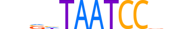 DPRX.H13RSNP.0.SM.D reverse-complement motif logo (DPRX gene, DPRX_HUMAN protein)