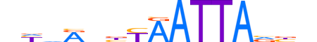 DRGX.H13RSNP.1.SM.D motif logo (DRGX gene, DRGX_HUMAN protein)