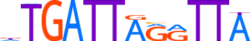 DUX4.H13RSNP.0.P.B motif logo (DUX4 gene, DUX4_HUMAN protein)