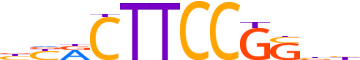 ELF2.H13RSNP.0.PS.A reverse-complement motif logo (ELF2 gene, ELF2_HUMAN protein)