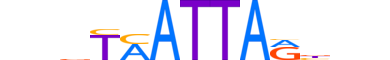 EMX1.H13RSNP.0.SM.B motif logo (EMX1 gene, EMX1_HUMAN protein)