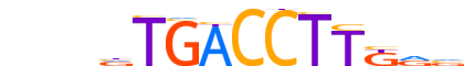 ERR1.H13RSNP.0.PSM.A reverse-complement motif logo (ESRRA gene, ERR1_HUMAN protein)