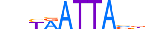 ESX1.H13RSNP.0.SM.B motif logo (ESX1 gene, ESX1_HUMAN protein)