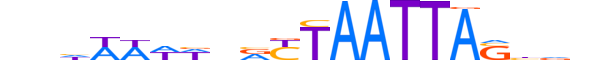 ESX1.H13RSNP.1.S.B motif logo (ESX1 gene, ESX1_HUMAN protein)