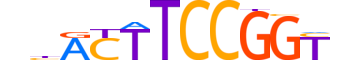 ETS1.H13RSNP.0.S.B reverse-complement motif logo (ETS1 gene, ETS1_HUMAN protein)