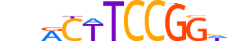 ETV5.H13RSNP.0.PS.A reverse-complement motif logo (ETV5 gene, ETV5_HUMAN protein)