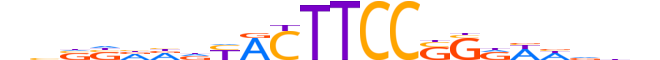 ETV7.H13RSNP.0.SM.B reverse-complement motif logo (ETV7 gene, ETV7_HUMAN protein)