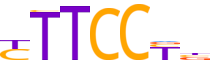 ETV7.H13RSNP.1.P.C reverse-complement motif logo (ETV7 gene, ETV7_HUMAN protein)
