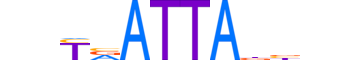 EVX1.H13RSNP.0.SM.B reverse-complement motif logo (EVX1 gene, EVX1_HUMAN protein)