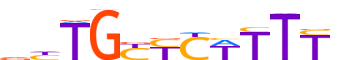 FEZF1.H13RSNP.0.P.D motif logo (FEZF1 gene, FEZF1_HUMAN protein)