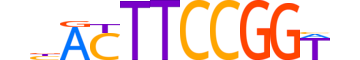 FLI1.H13RSNP.0.PSM.A reverse-complement motif logo (FLI1 gene, FLI1_HUMAN protein)