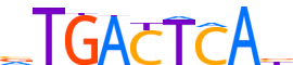 FOSB.H13RSNP.0.P.D reverse-complement motif logo (FOSB gene, FOSB_HUMAN protein)