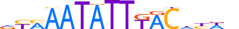 FOXA2.H13RSNP.1.SM.B motif logo (FOXA2 gene, FOXA2_HUMAN protein)