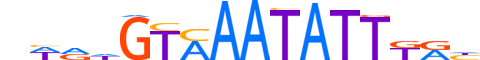 FOXA2.H13RSNP.1.SM.B reverse-complement motif logo (FOXA2 gene, FOXA2_HUMAN protein)