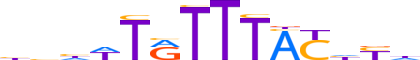 FOXC1.H13RSNP.1.S.D motif logo (FOXC1 gene, FOXC1_HUMAN protein)